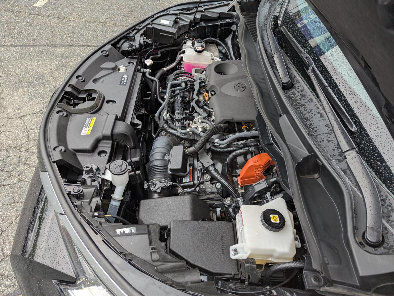 Toyota Sienna Limited AWD 7-Passenger (Natl) 2022