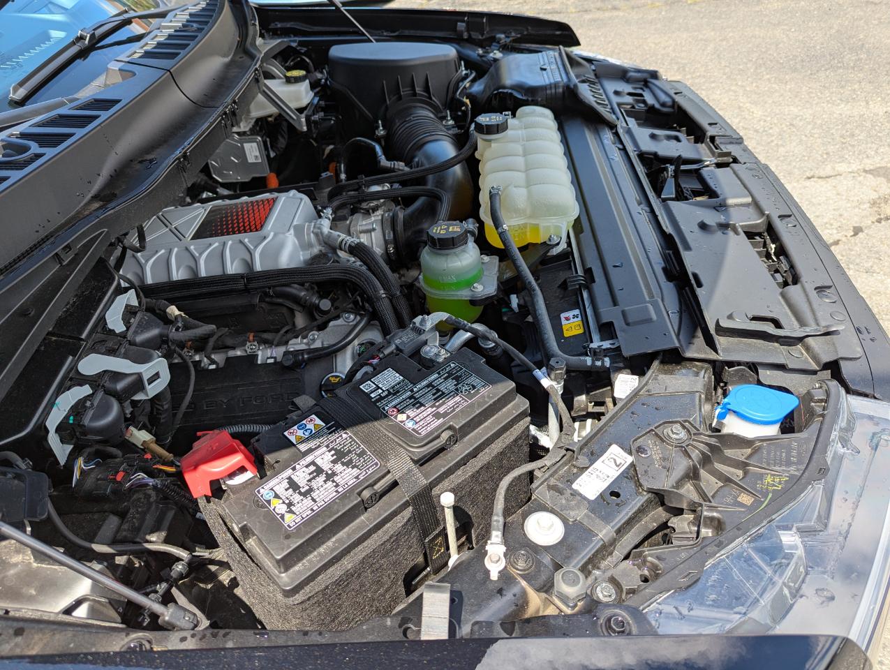 Ford F-150  2025
