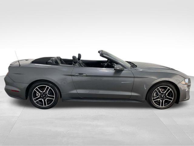 Ford Mustang  2022 Ford Mustang  2022