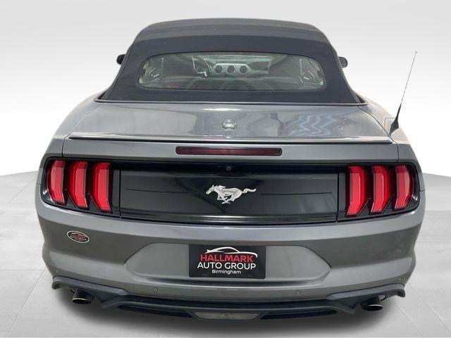 Ford Mustang  2022 Ford Mustang  2022