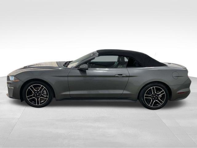Ford Mustang  2022 Ford Mustang  2022