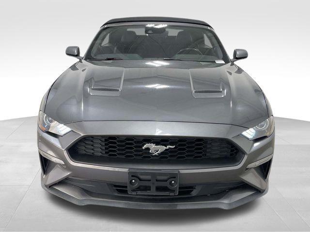 Ford Mustang  2022 Ford Mustang  2022