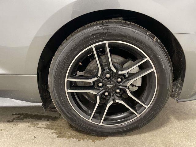 Ford Mustang  2022 Ford Mustang  2022