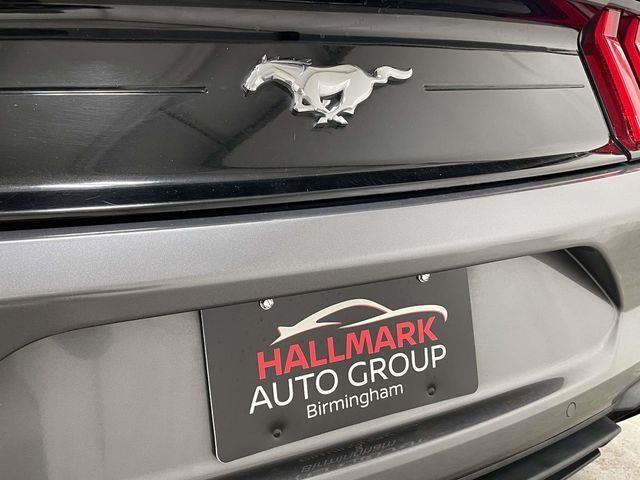 Ford Mustang  2022 Ford Mustang  2022