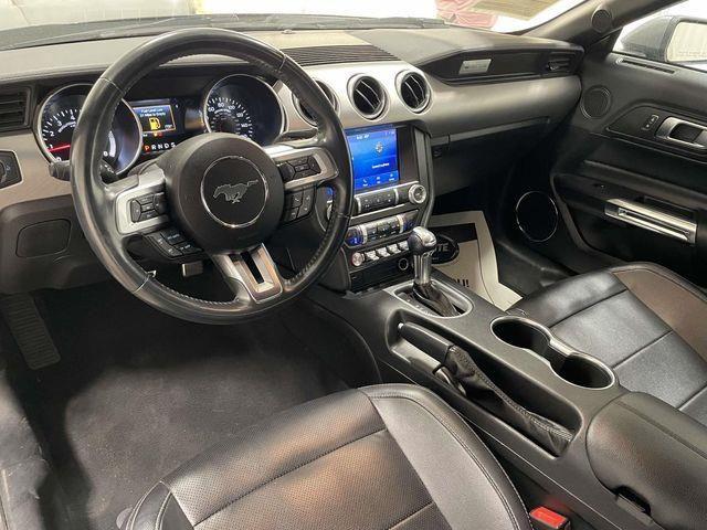 Ford Mustang  2022 Ford Mustang  2022