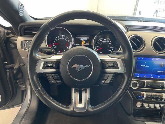 Ford Mustang  2022 Ford Mustang  2022