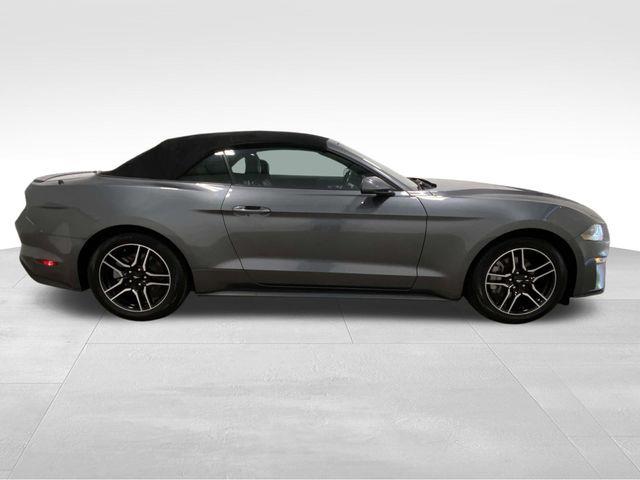 Ford Mustang  2023 Ford Mustang  2023