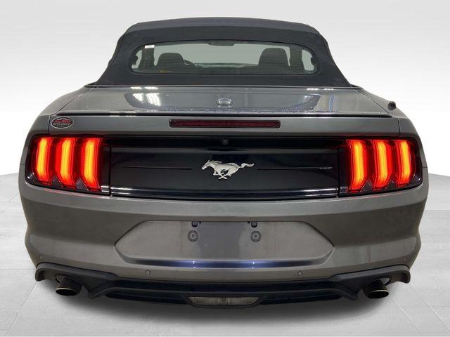 Ford Mustang  2023 Ford Mustang  2023