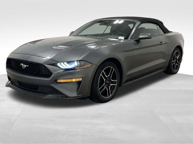Ford Mustang  2023 Ford Mustang  2023