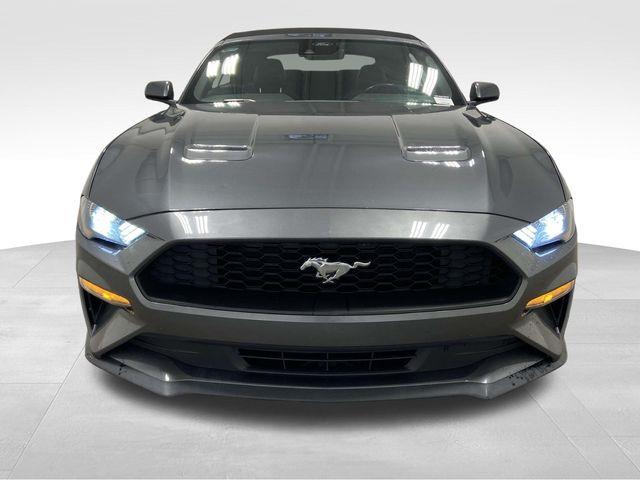 Ford Mustang  2023 Ford Mustang  2023