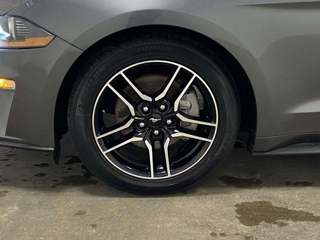 Ford Mustang  2023 Ford Mustang  2023