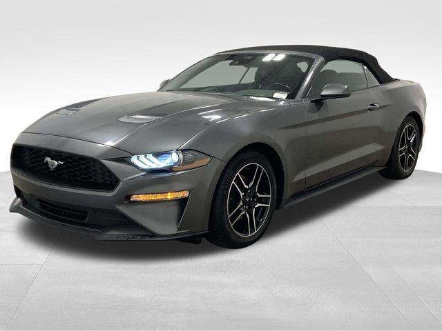 Ford Mustang  2023 Ford Mustang  2023