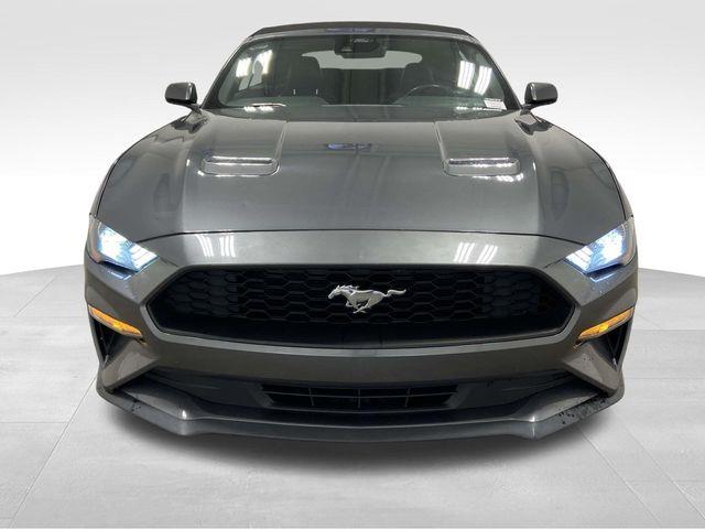 Ford Mustang  2023 Ford Mustang  2023