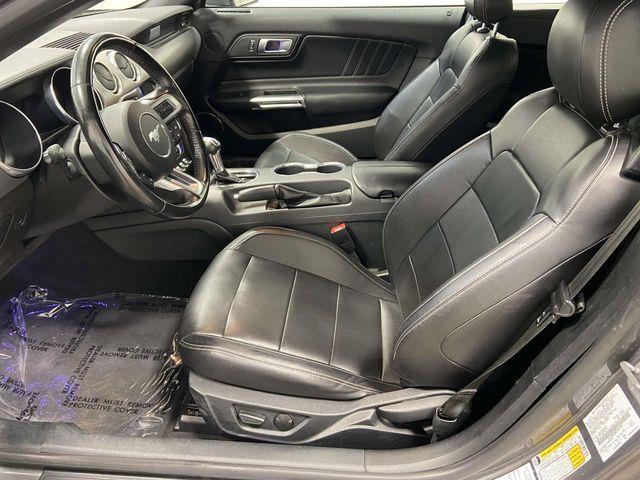 Ford Mustang  2023 Ford Mustang  2023