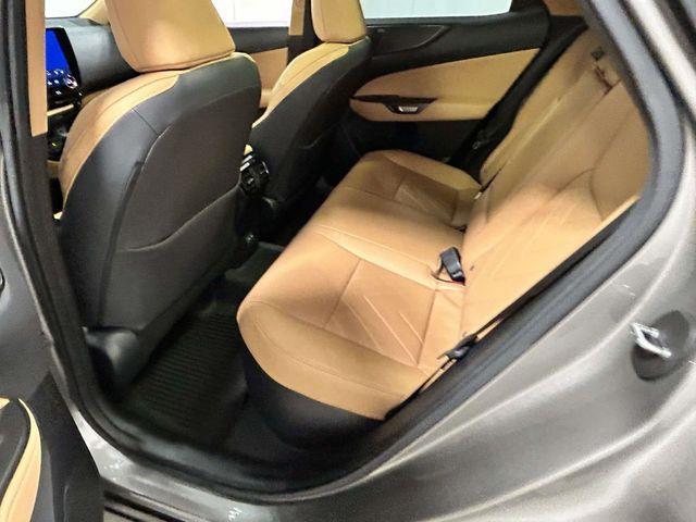 Lexus NX  2024