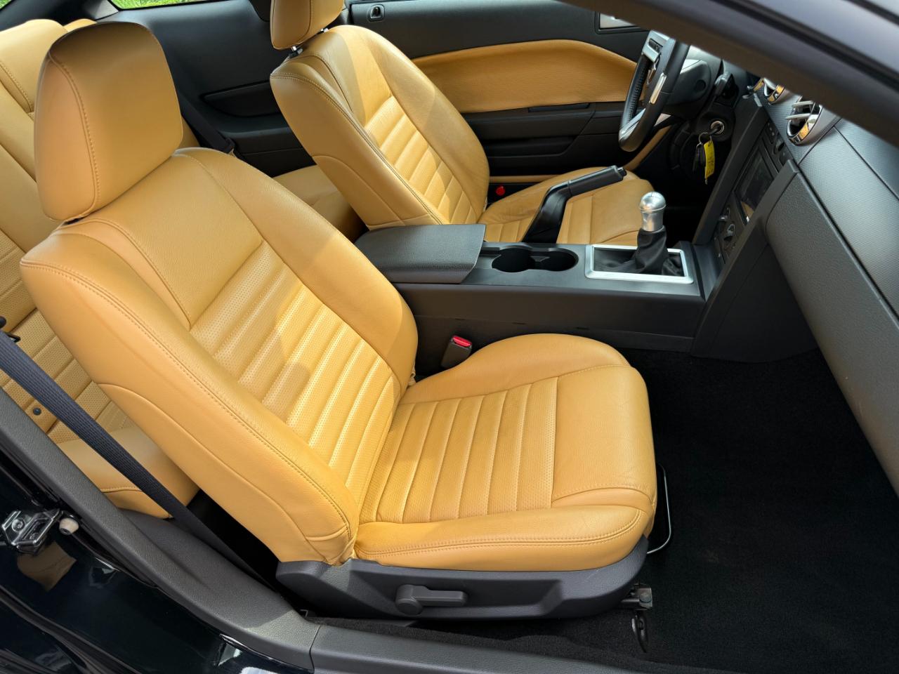 Ford Mustang 2dr Cpe GT Premium 2007