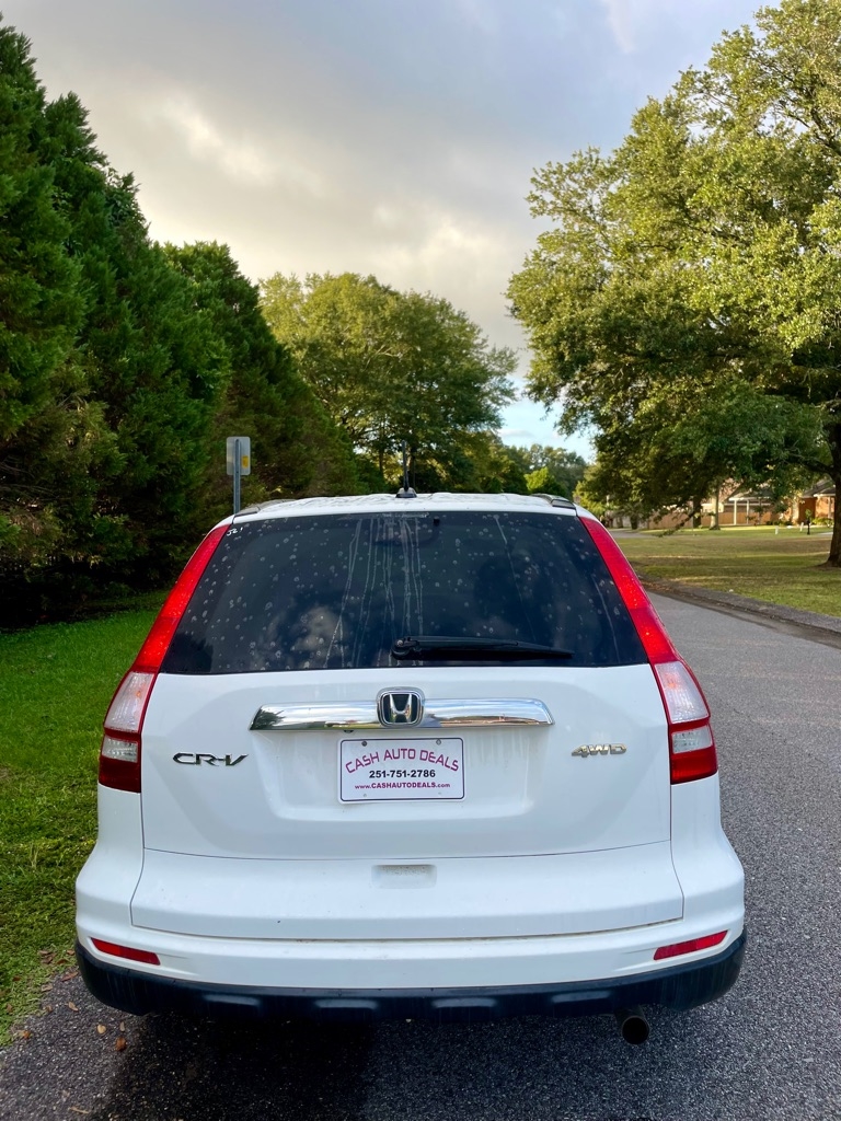 2010 Honda CR-V EX-L photo 2