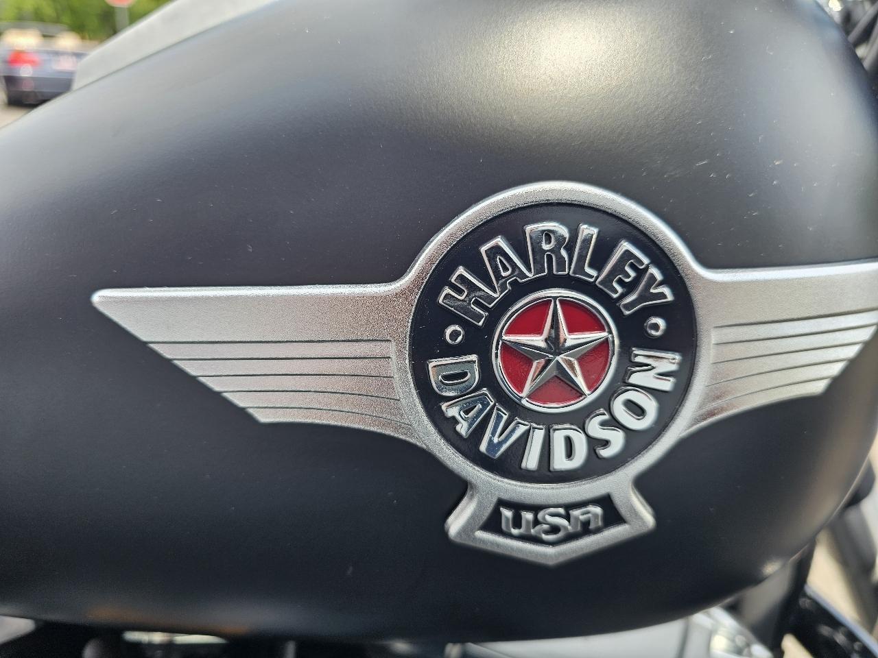 Harley-Davidson FLSTFB  2014