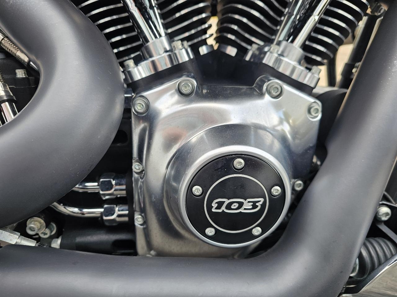 Harley-Davidson FLSTFB  2014