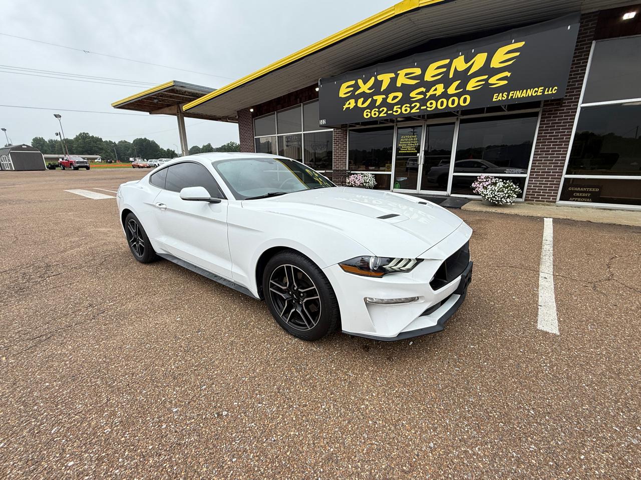 Ford Mustang EcoBoost Fastback 2019