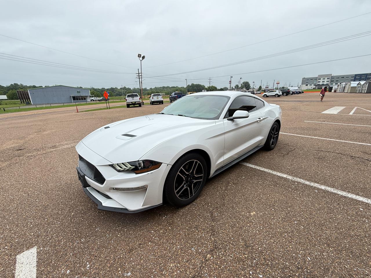 Ford Mustang EcoBoost Fastback 2019