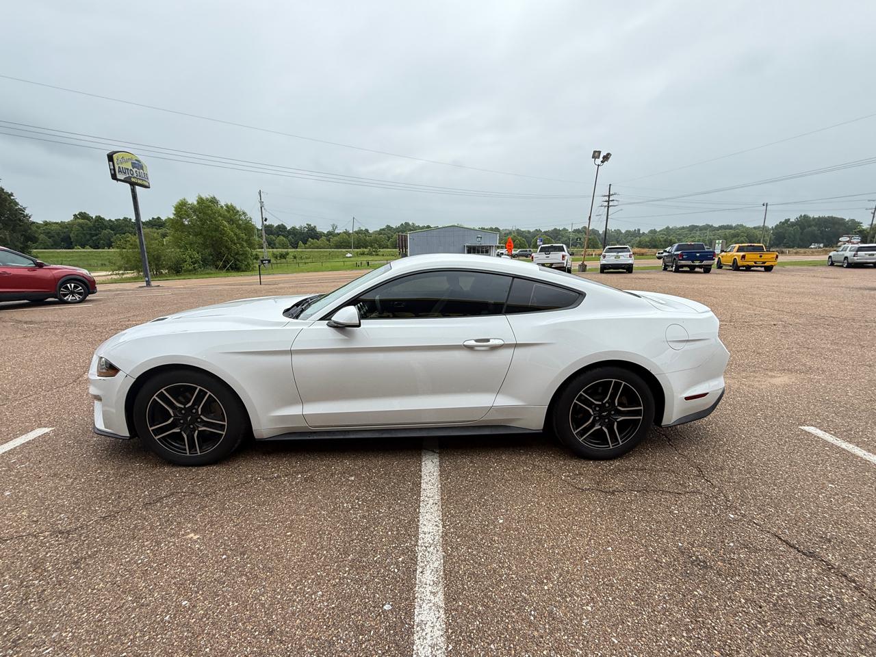 Ford Mustang EcoBoost Fastback 2019