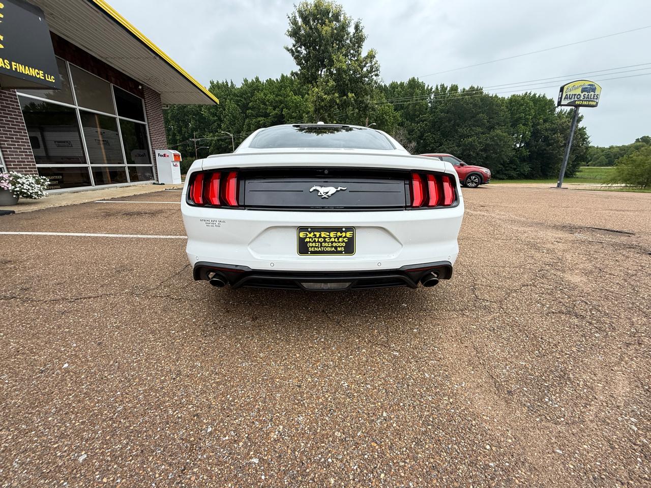 Ford Mustang EcoBoost Fastback 2019