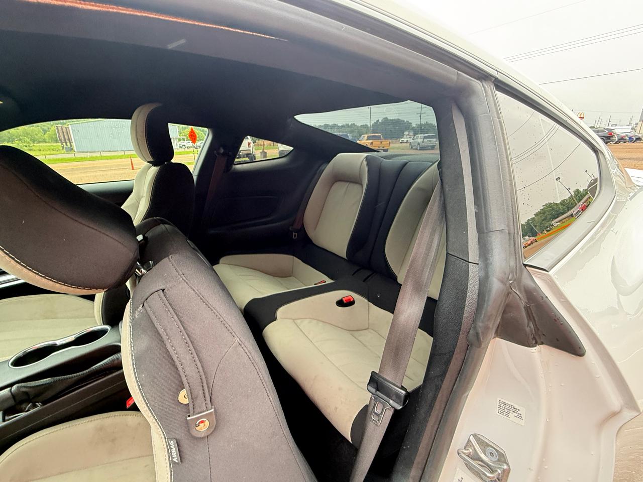 Ford Mustang EcoBoost Fastback 2019