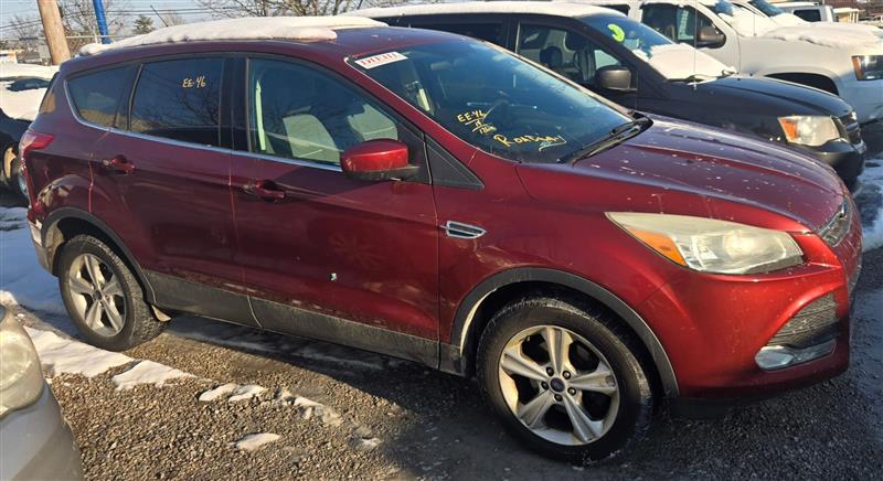 2014 Ford Escape SE's photo