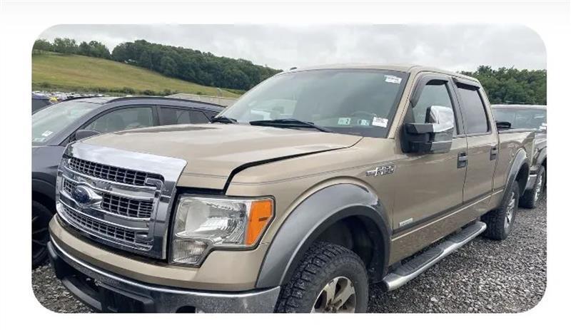 2013 Ford F-150 XL 4x4 SuperCrew 145-in's photo