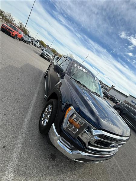 Ford F-150 XLT SuperCrew 5.5-ft. Bed 4WD 2022