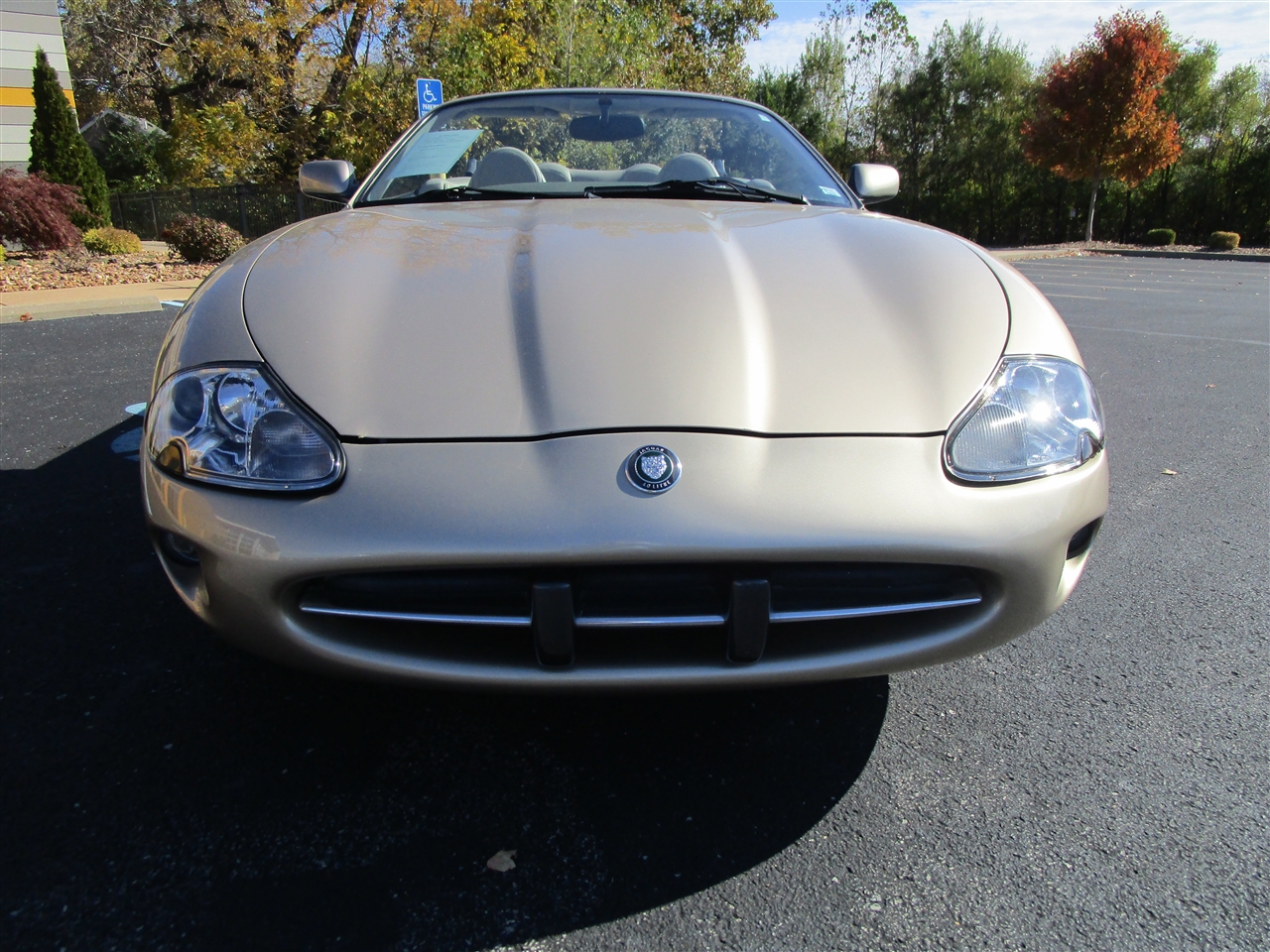 1998 Jaguar XK 8 Convertible photo 2