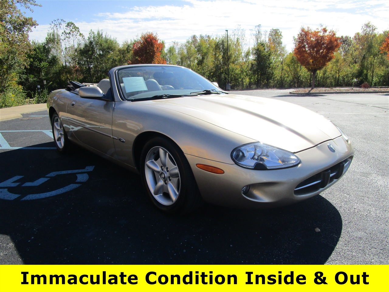 1998 Jaguar XK 8 Convertible photo 3