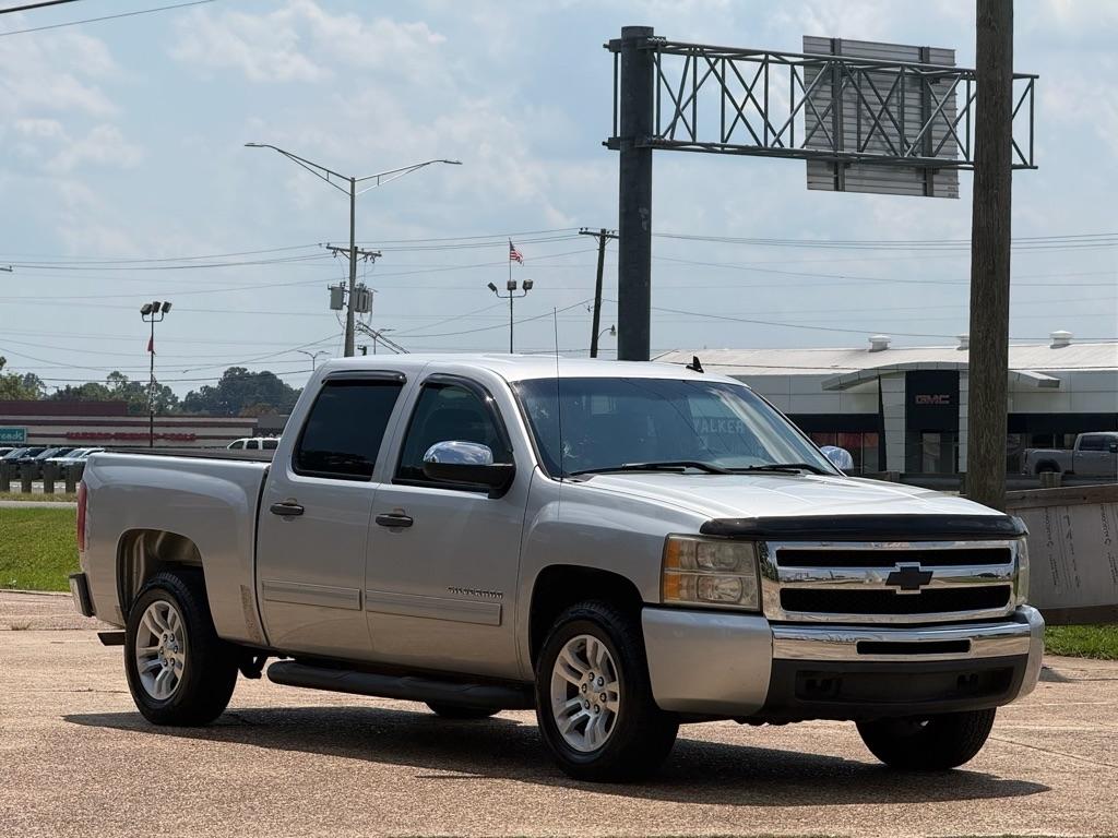 Chevrolet Silverado 1500 2WD Crew Cab 143.5" LS 2010