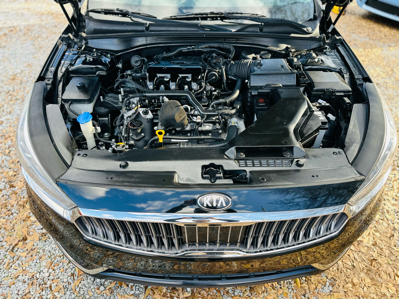 Kia Cadenza Limited 2017