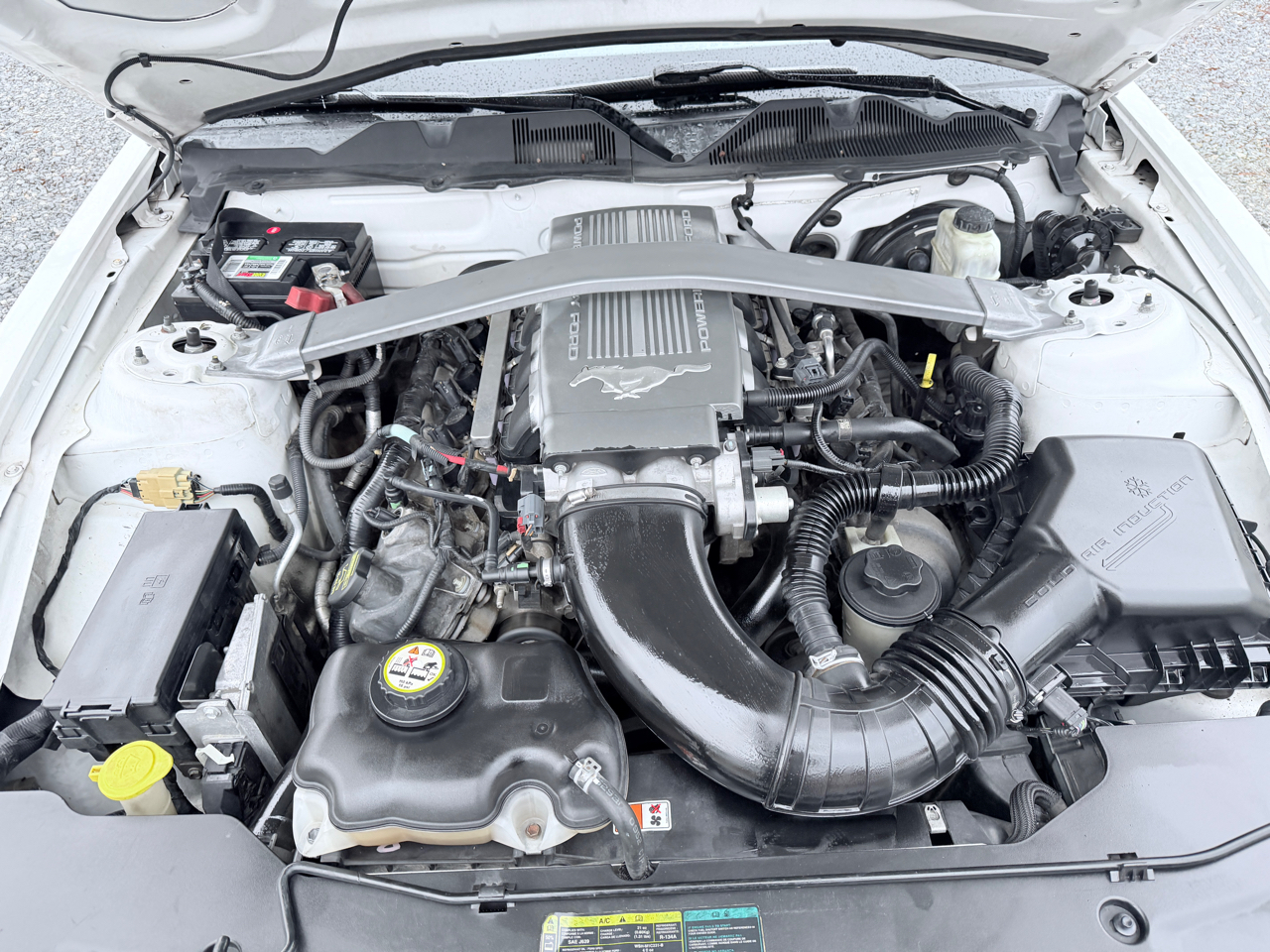 Ford Mustang GT Coupe 2010