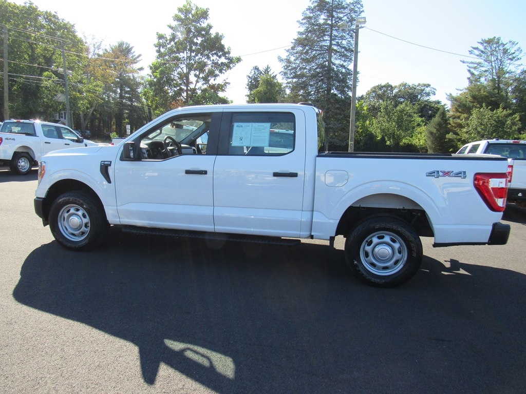 2021 Ford F-150 XL photo 4