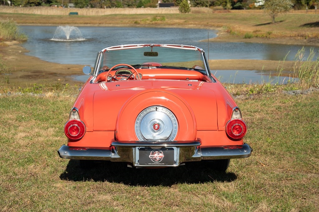 Ford Thunderbird  1956