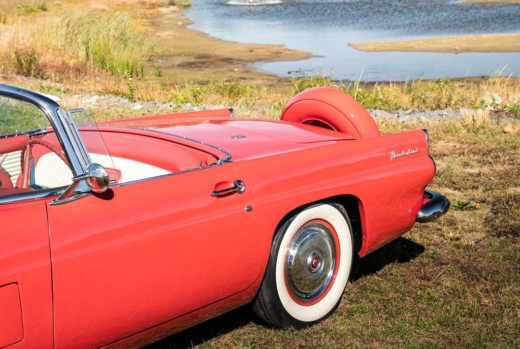 Ford Thunderbird  1956