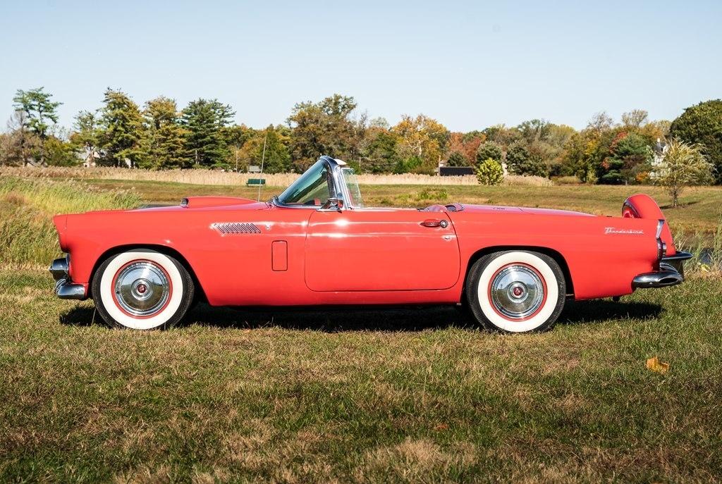 Ford Thunderbird  1956