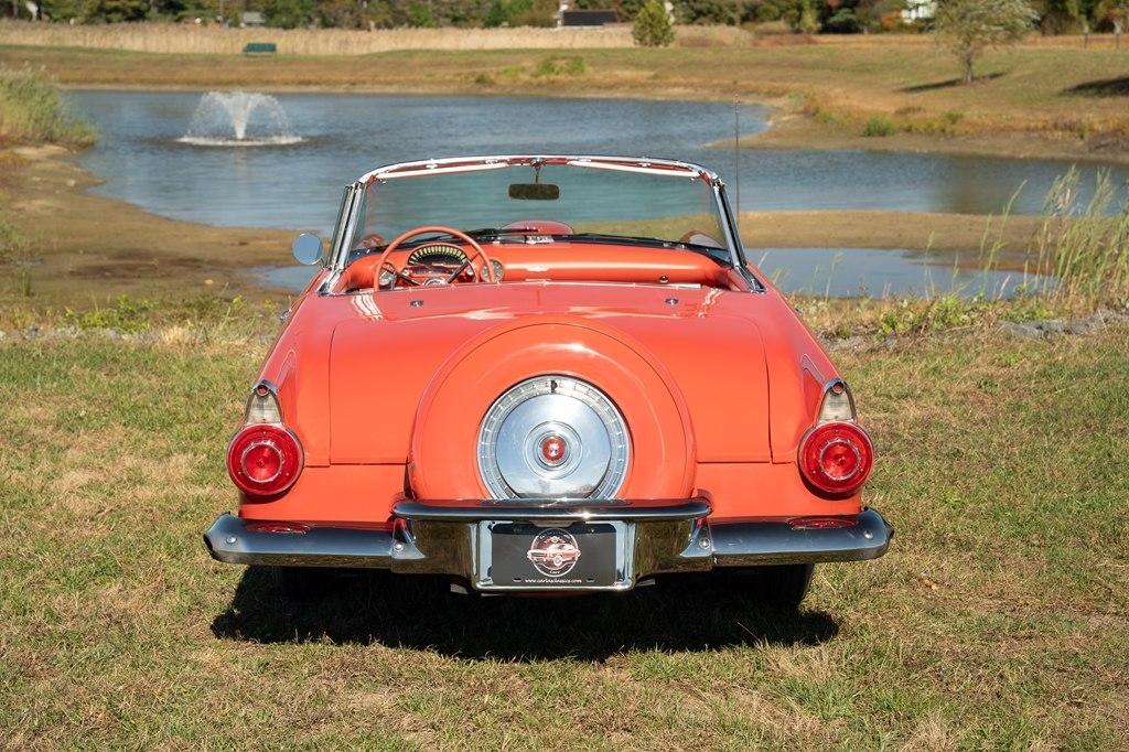 Ford Thunderbird  1956