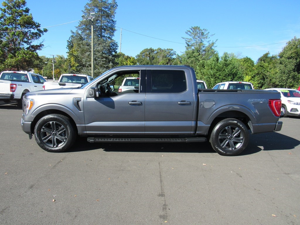 Ford F-150 XLT 2023