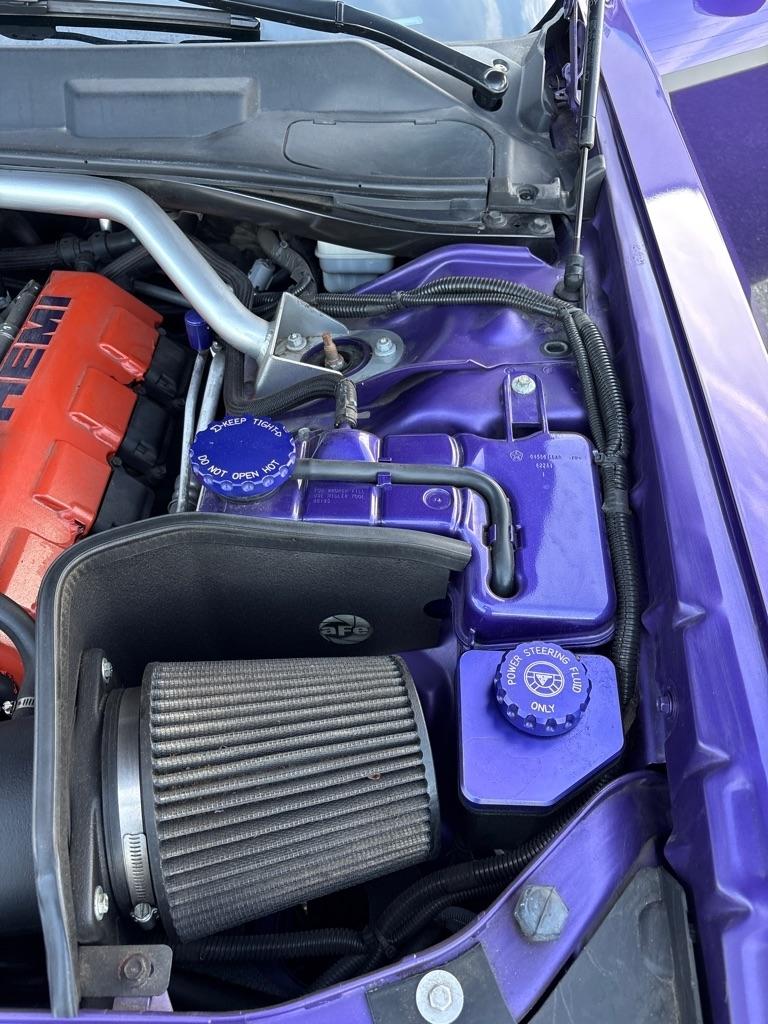 Dodge Challenger 2dr Cpe SRT8 2010