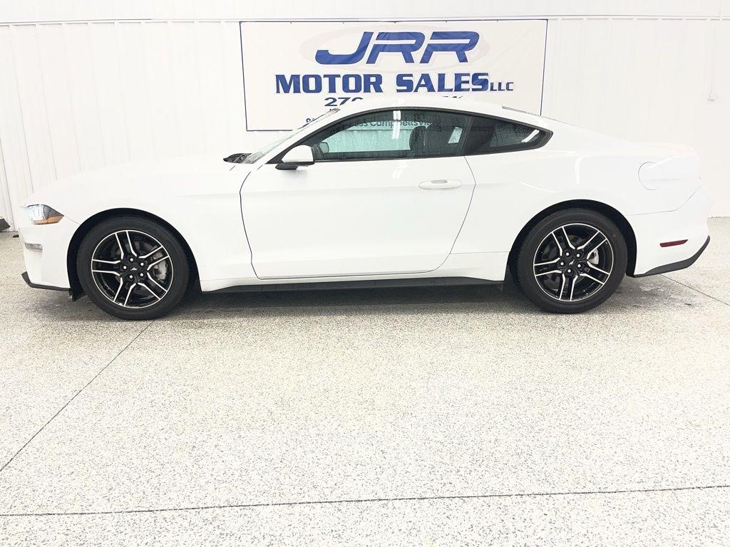 Ford Mustang EcoBoost Fastback 2023