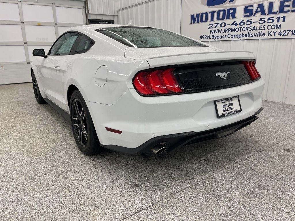 Ford Mustang EcoBoost Fastback 2023