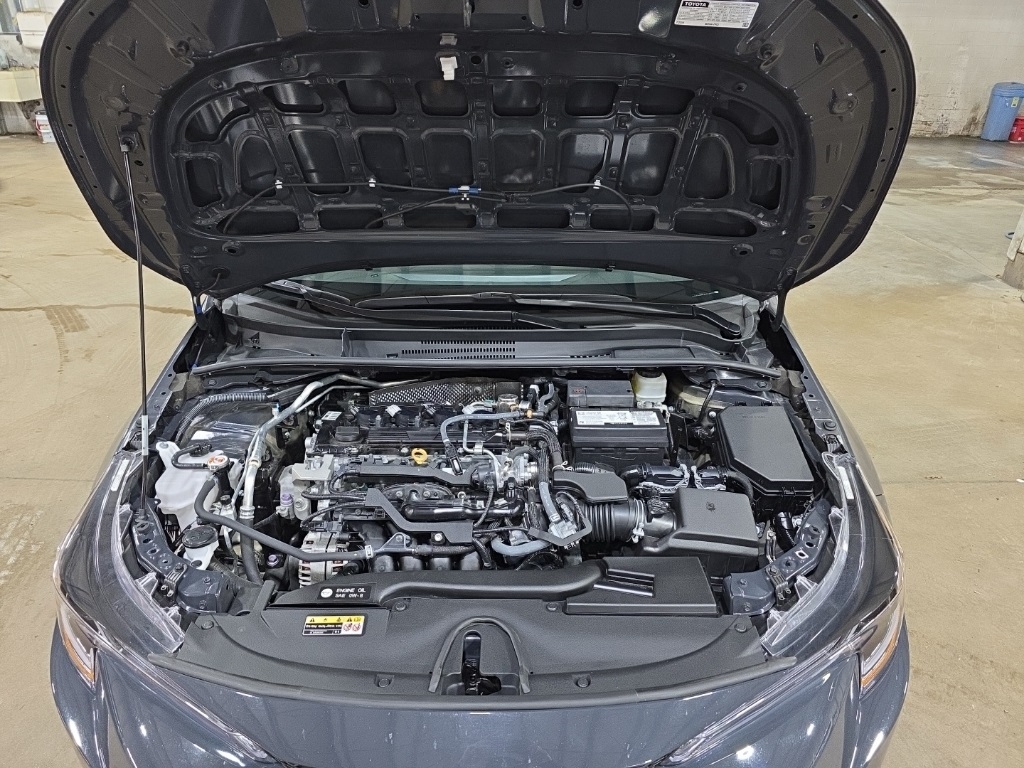 Toyota Corolla  2025