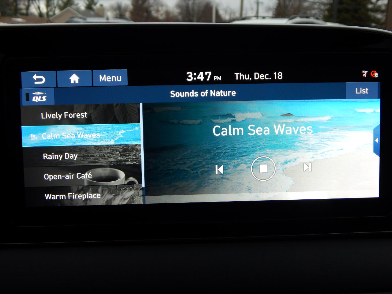 Hyundai Palisade Calligraphy AWD 2021