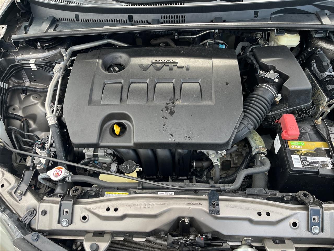 Toyota Corolla SE 2019