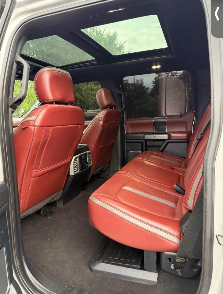Ford F-250 SD Platinum Crew Cab 4WD 2018