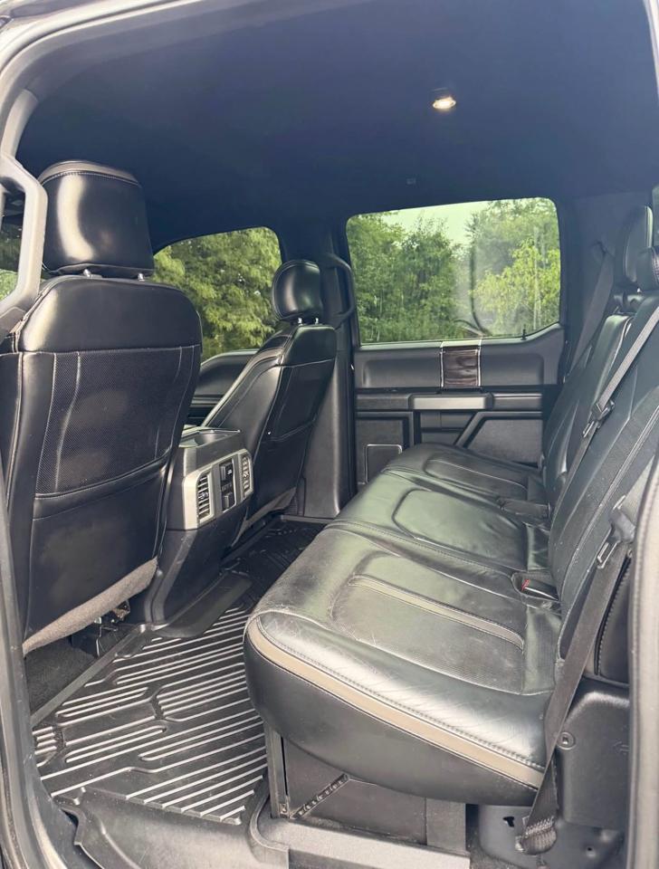Ford F-250 SD Platinum Crew Cab 4WD 2017